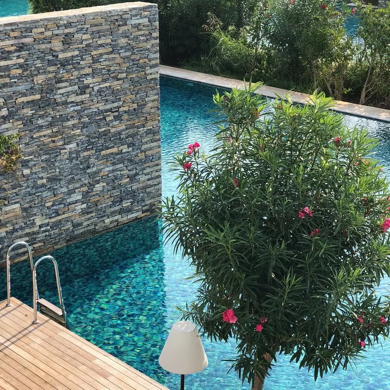 Maxx Royal Kemer Resort