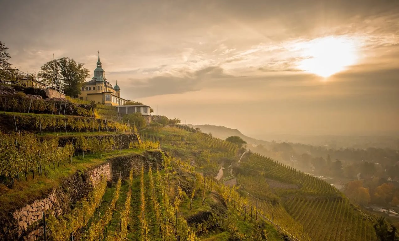 Spitzhaus Radebeul