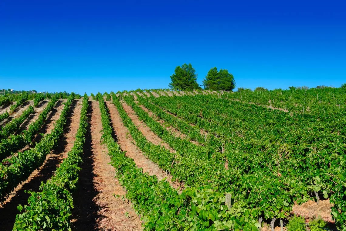 Quinta dos Vales