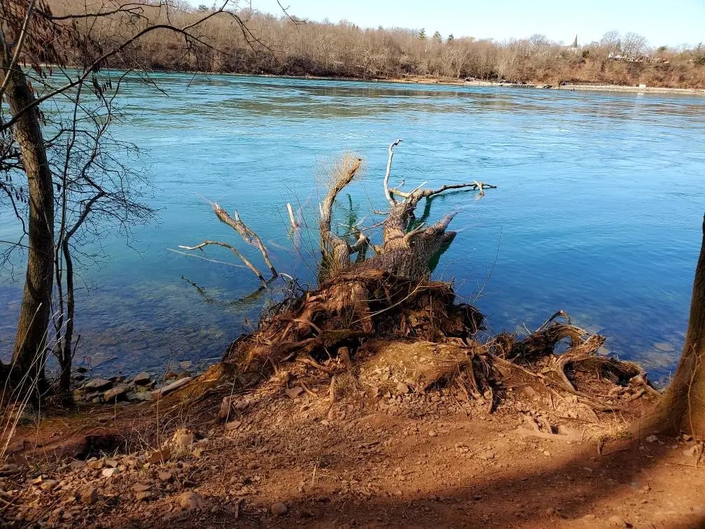 Earl W. Brydges Artpark State Park