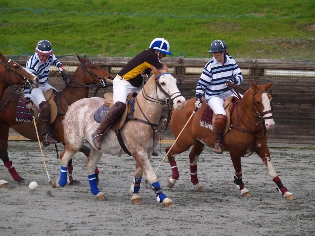 Polo Wicklow