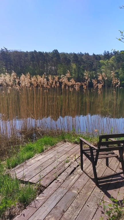 ziołowa oranżeria