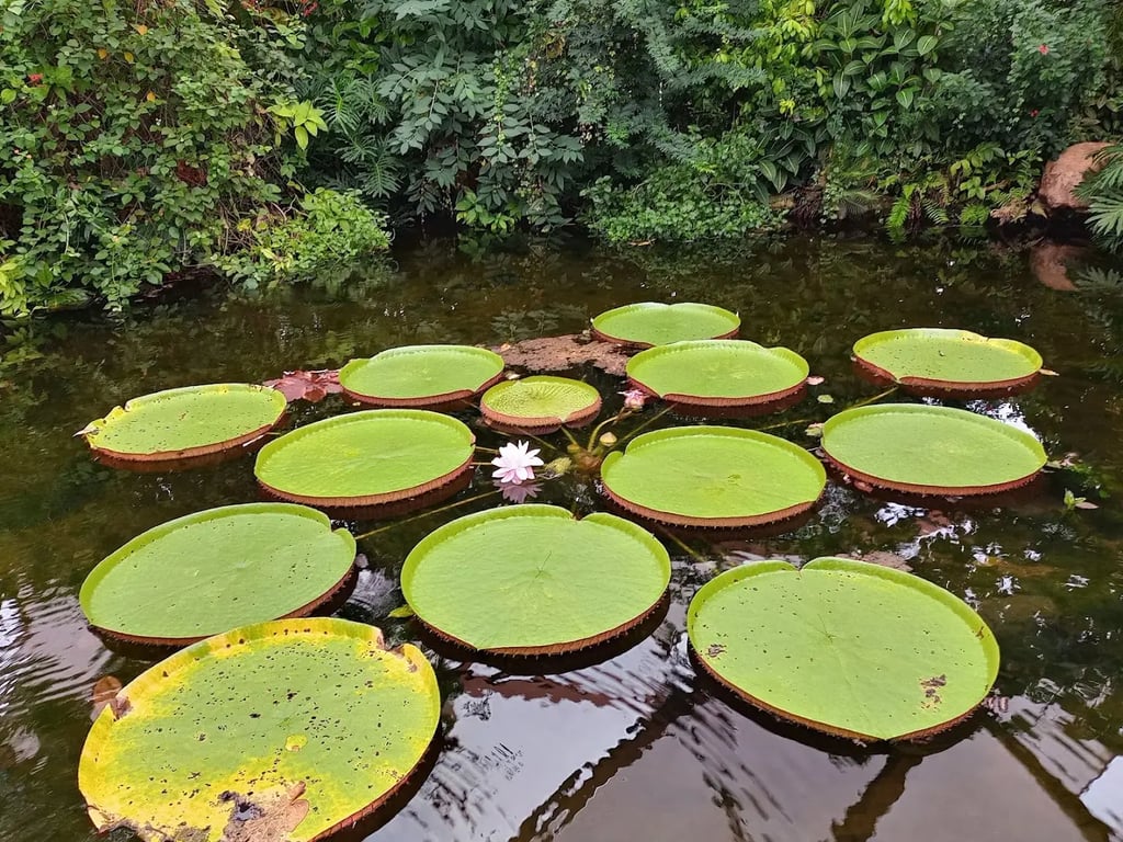 Diergaarde Blijdorp