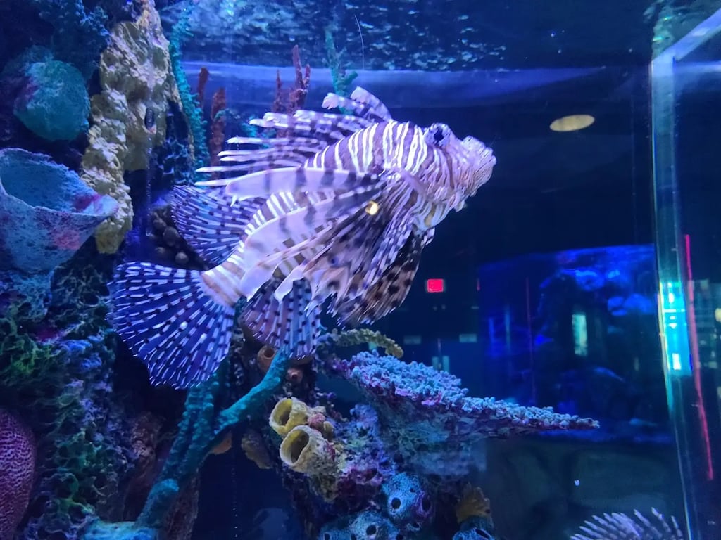 Maritime Aquarium at Norwalk