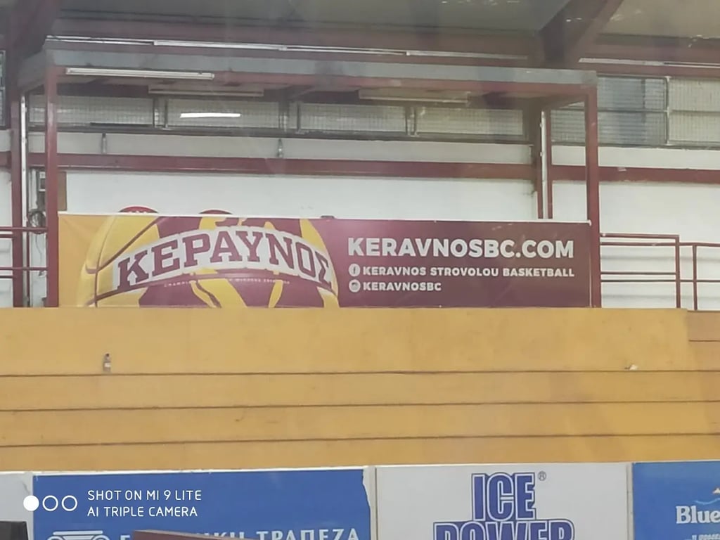 Costas Papaellinas Arena