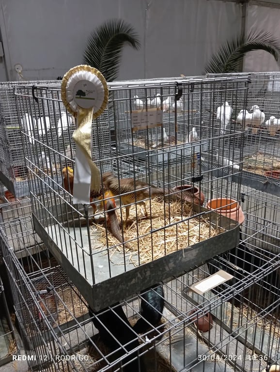 Parque de Feiras e Exposições de Beja - Manuel Castro e Brito