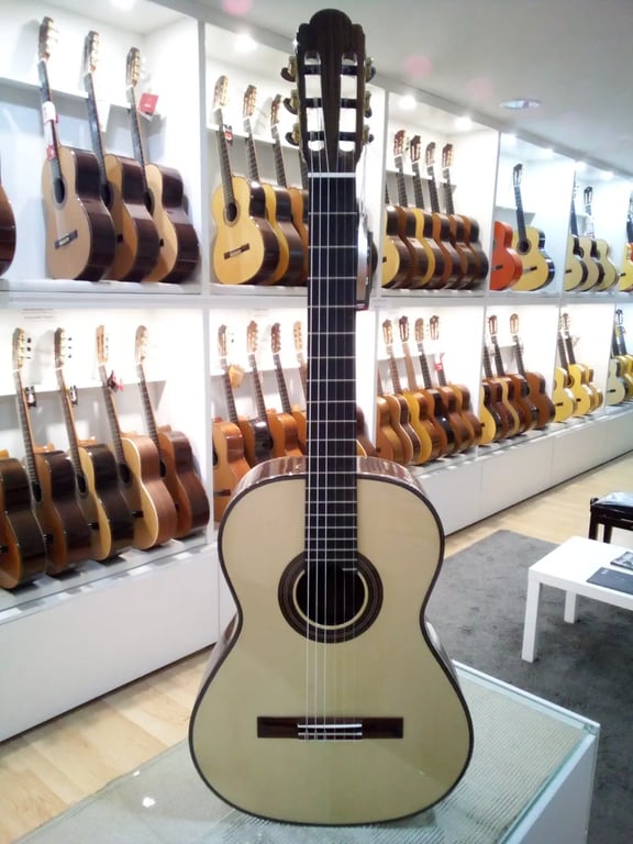 The Green Guitar