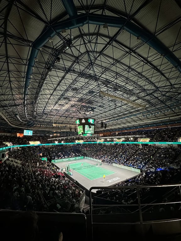 Martin Carpena Arena