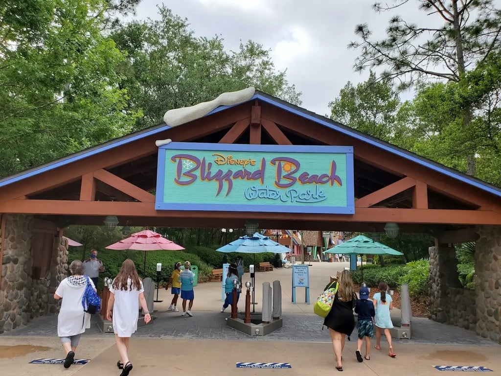Disney's Blizzard Beach Water Park