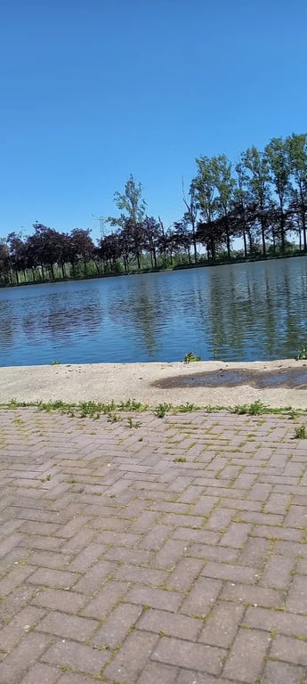 Pakhuys