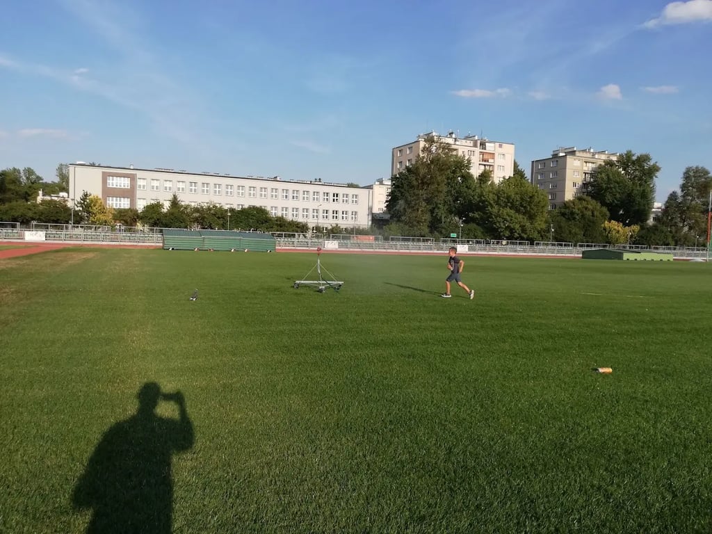 Orzeł