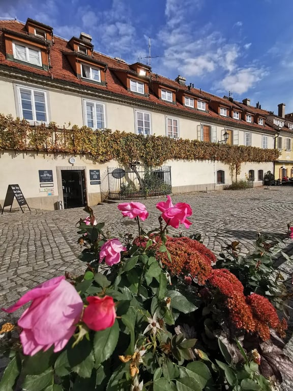 Old Vine House Maribor