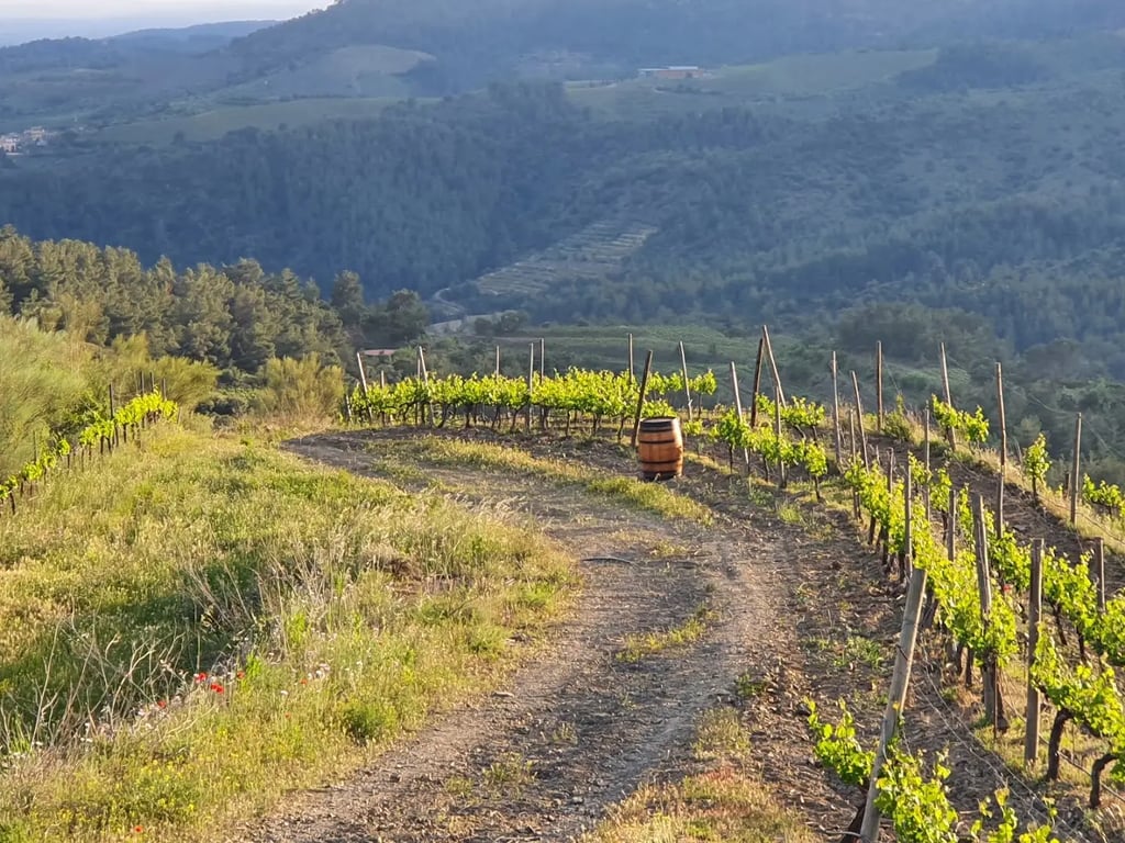 Buil & Gine Wine Hotel
