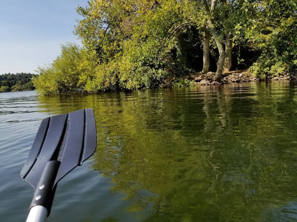 Duck Island