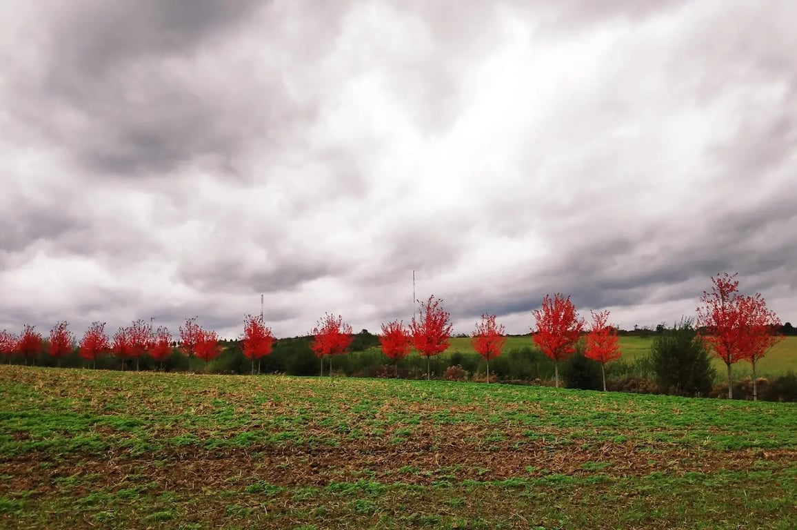 Ferme de Bilande