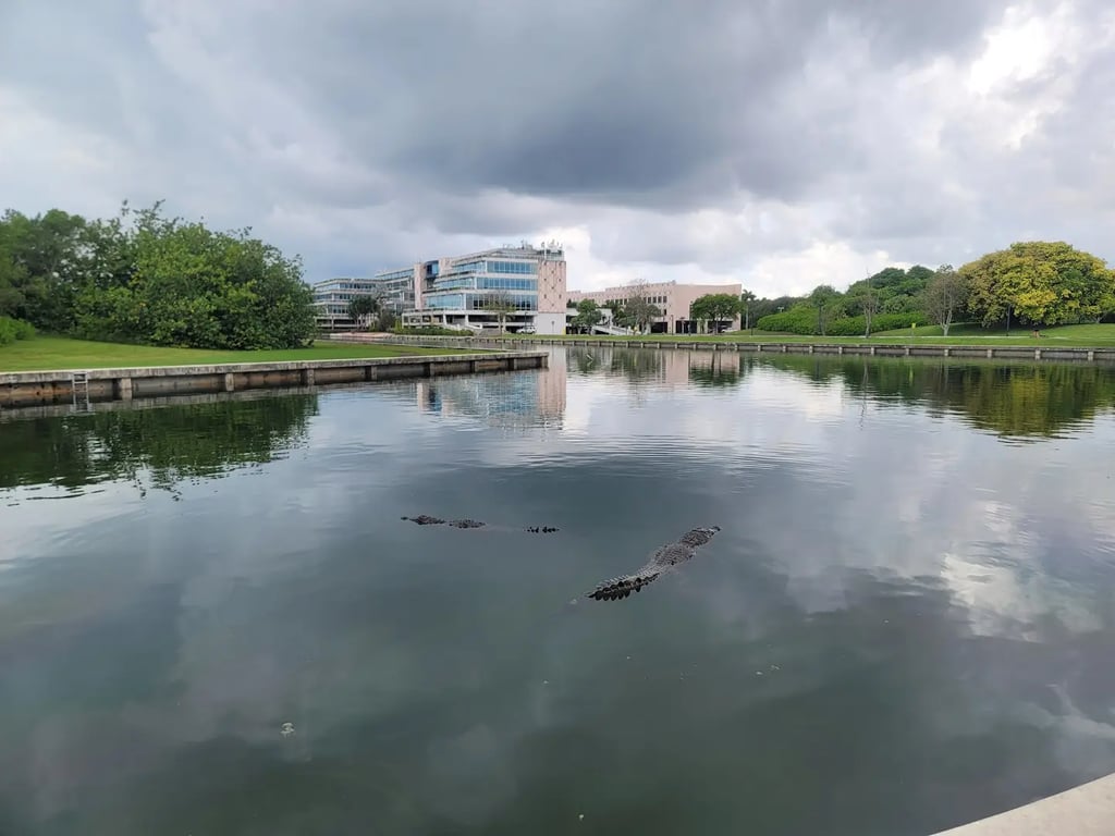 Palmetto Bay Village Center