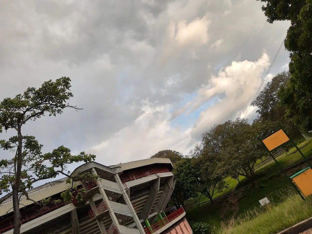 Coliseo del Café