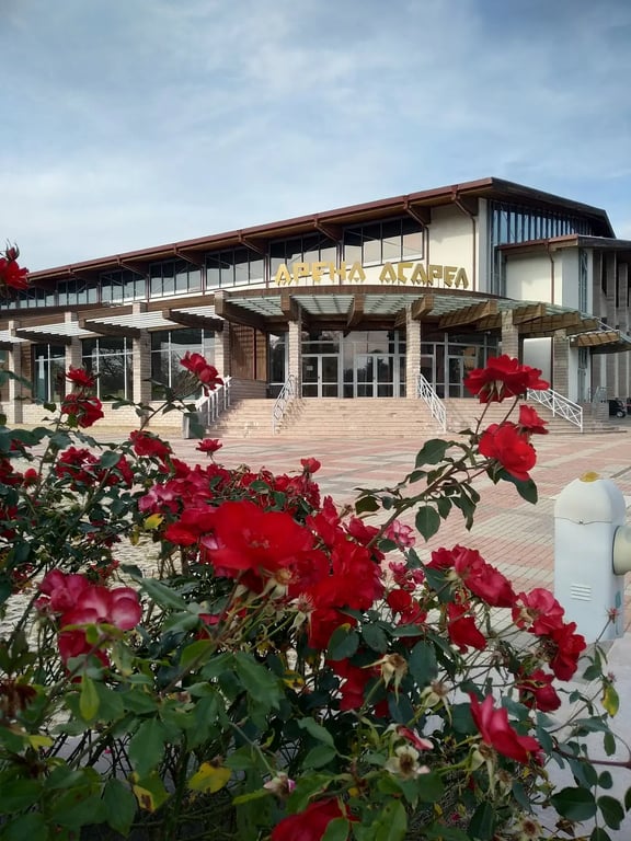 Asarel Arena