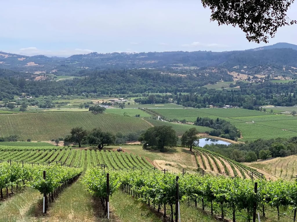 Kunde Family Winery