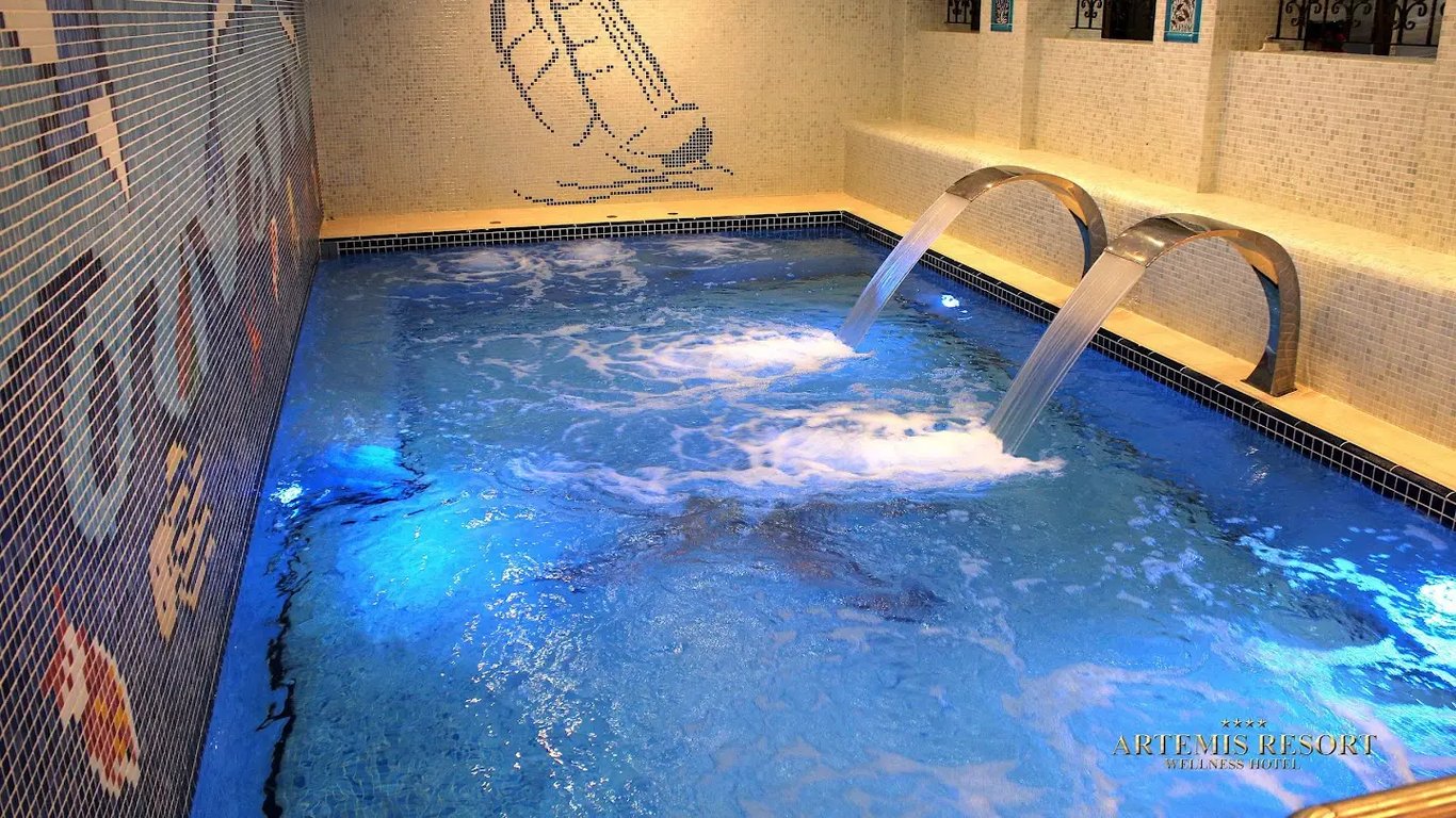 Artemis Resort Wellness Hotel