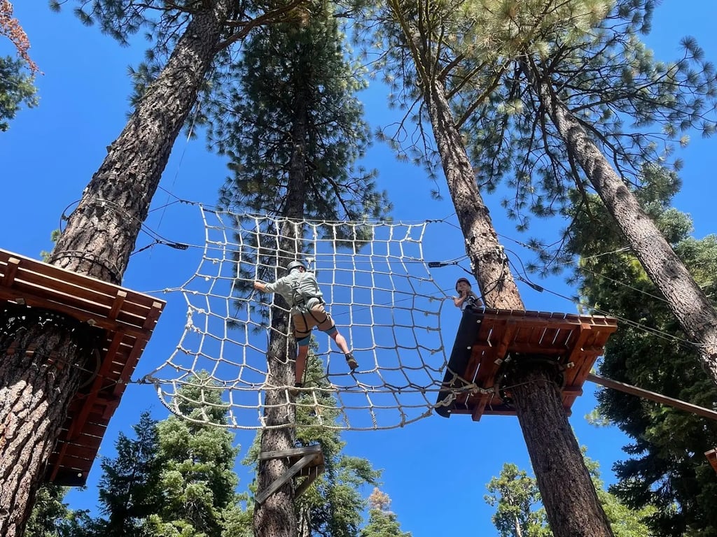 Hornpark Treetops Adventure