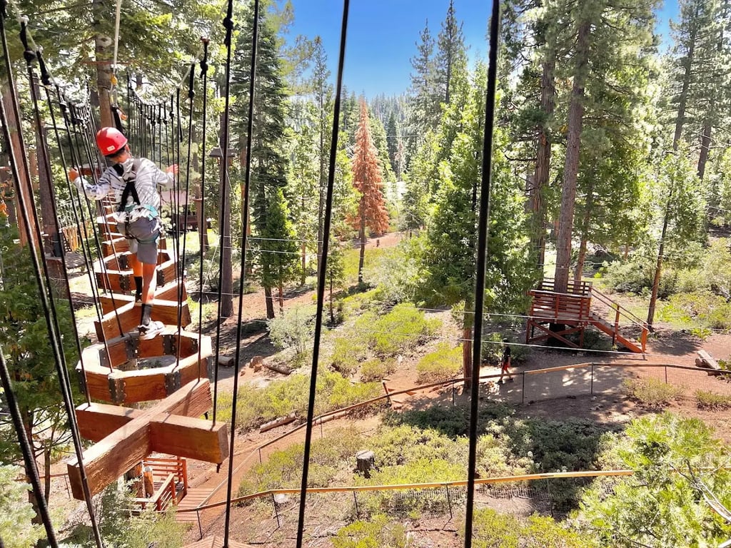 Hornpark Treetops Adventure
