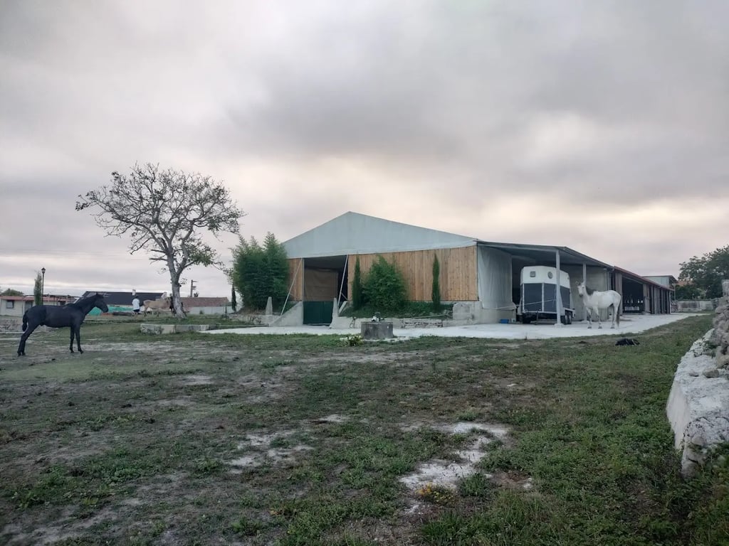 Quinta do Barroco