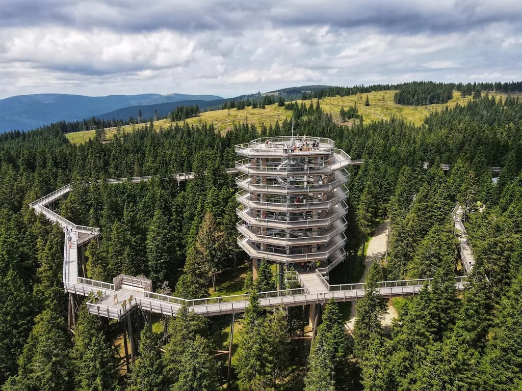 Treetop Walk Pohorje