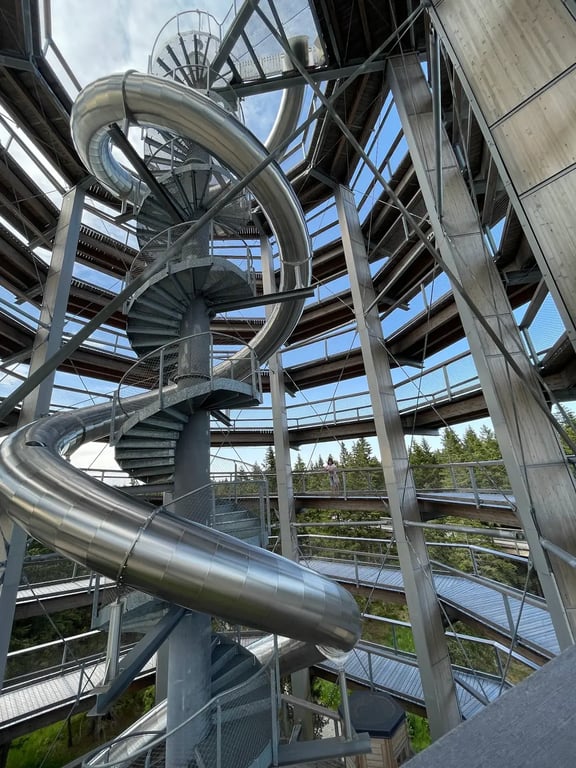 Treetop Walk Pohorje