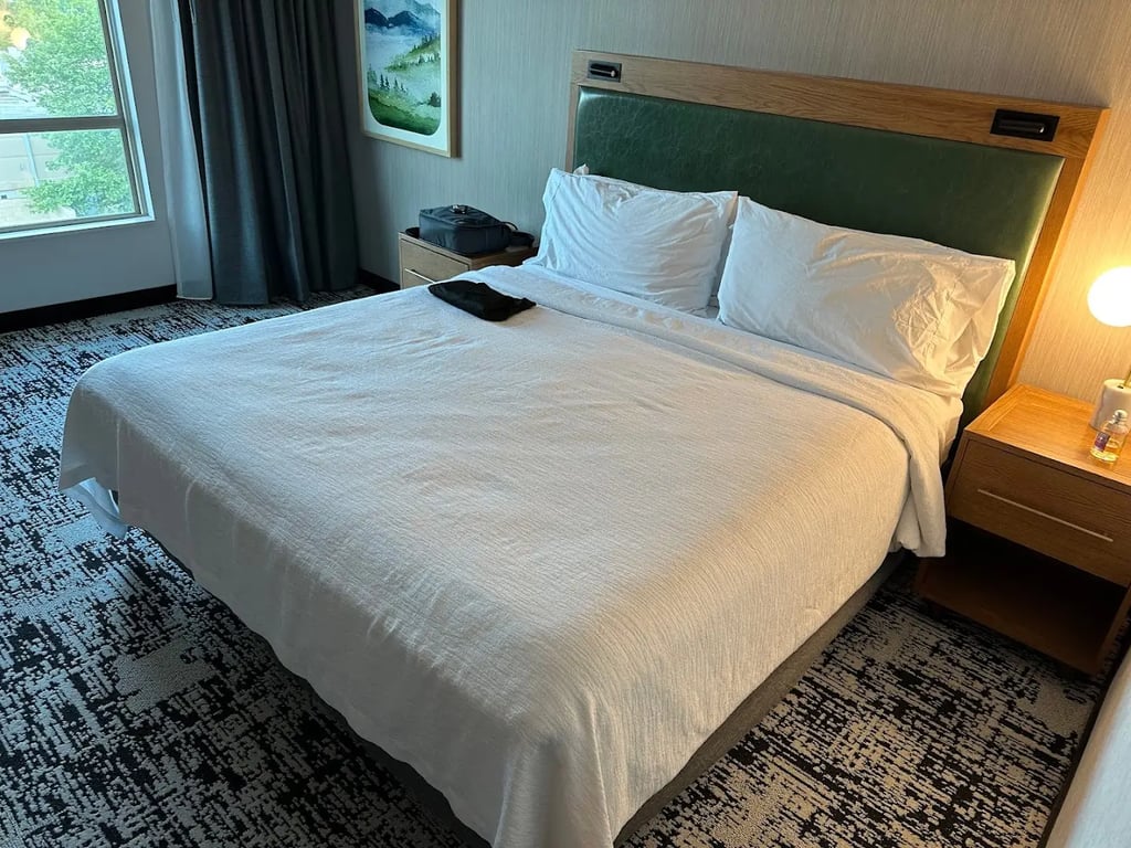 Embassy Suites by Hilton Dulles North Loudoun