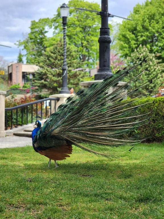 Wildlife Conservation Society - Prospect Park Zoo