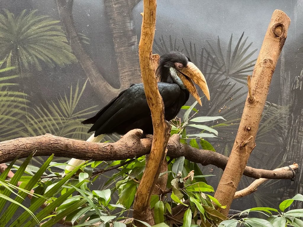 Wildlife Conservation Society - Prospect Park Zoo