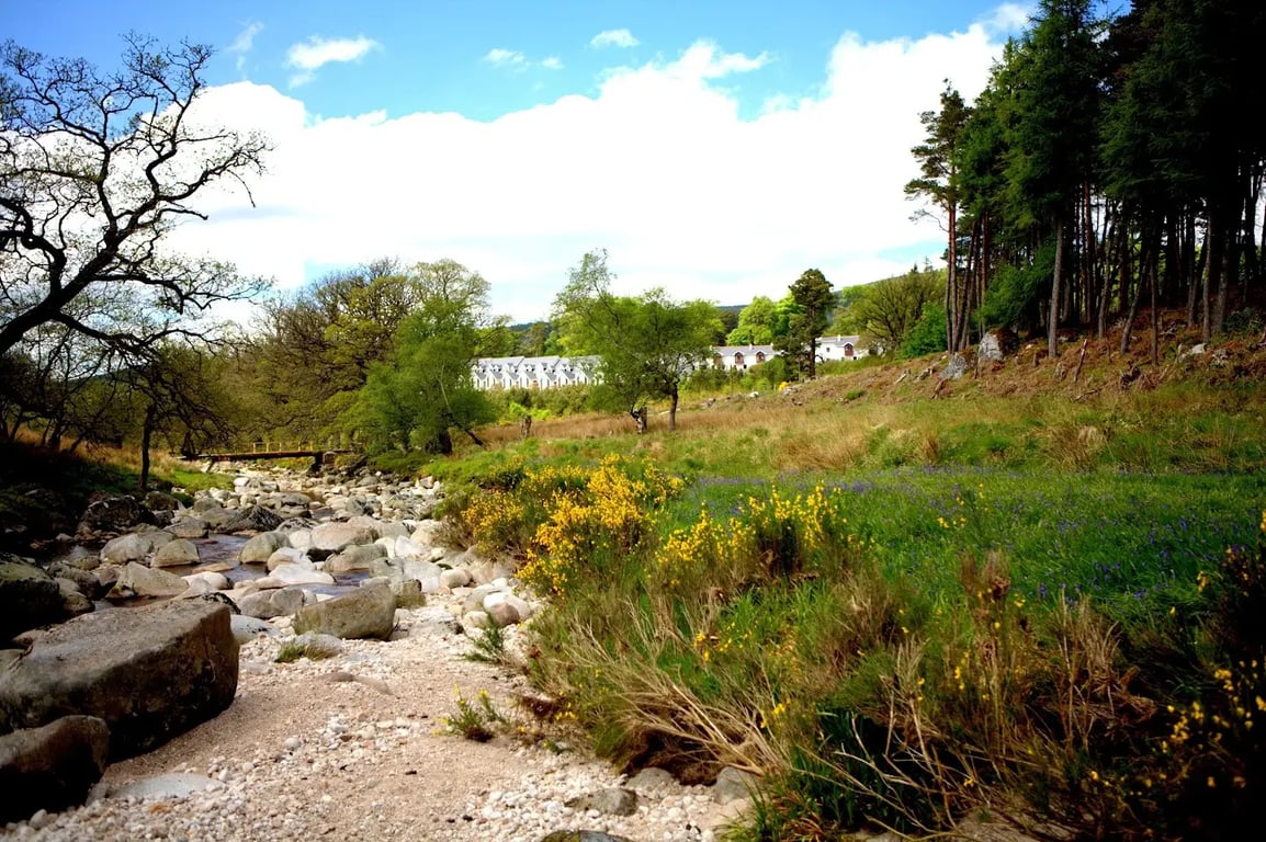 Kippure Estate