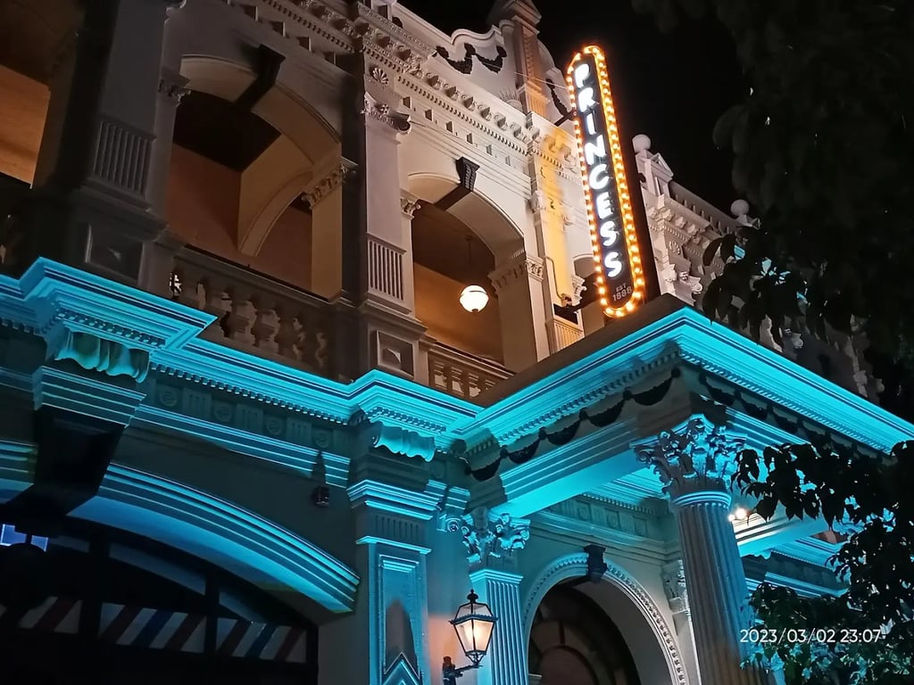 The Princess Theatre