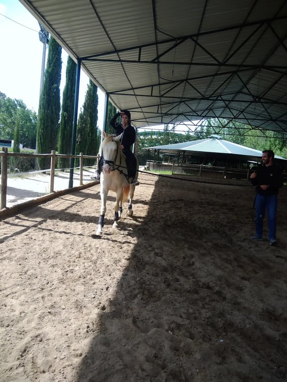 Jockey Club Csehorszag