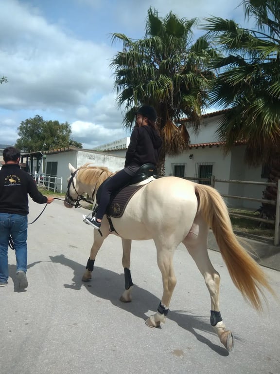 Jockey Club Csehorszag