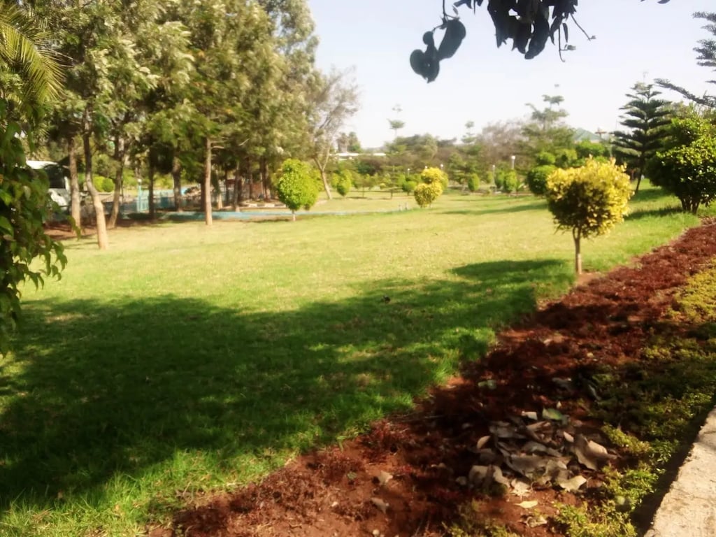 Bahir Dar Stadium