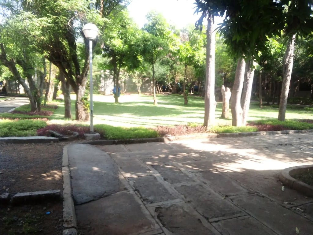 Bahir Dar Stadium