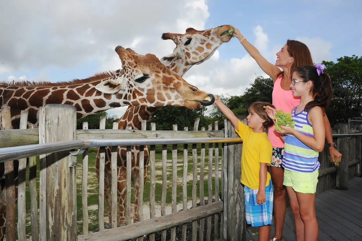 Zoo Miami