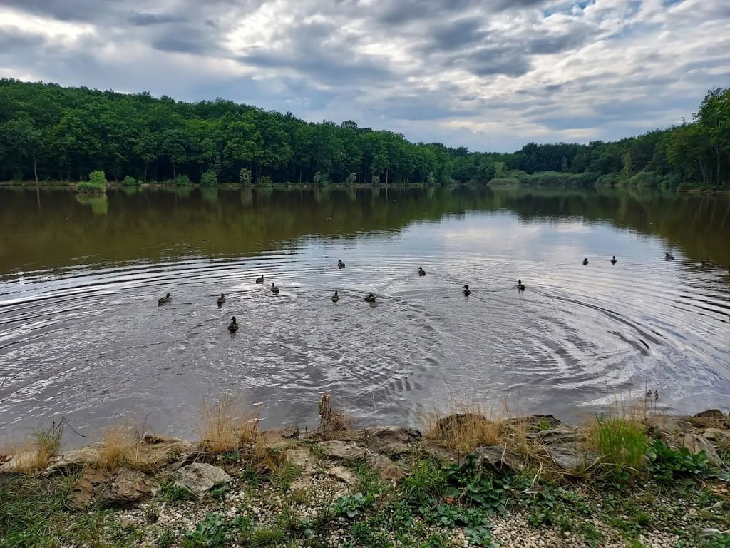 ADVENTURE PARK AT THE BUKOVNICA LAKE