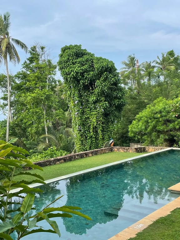 Cape Weligama