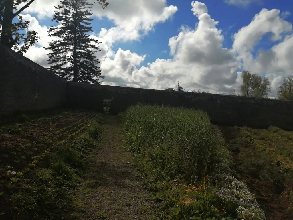 Shanbally House and Gardens