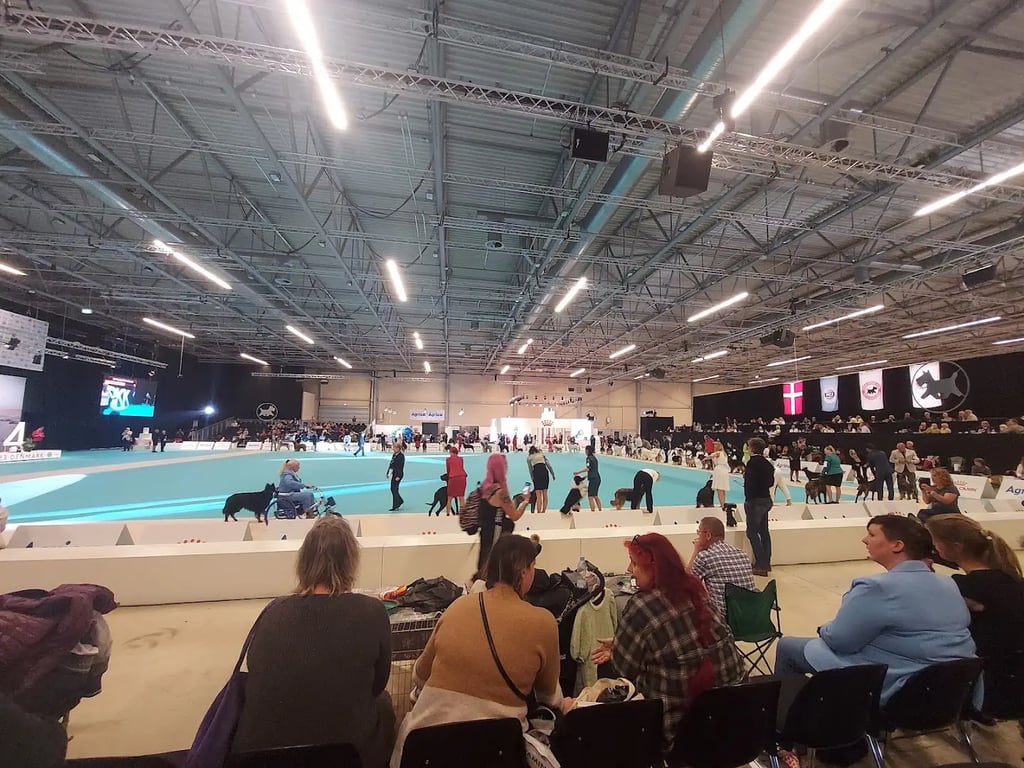 Messecenter Herning (Herning)