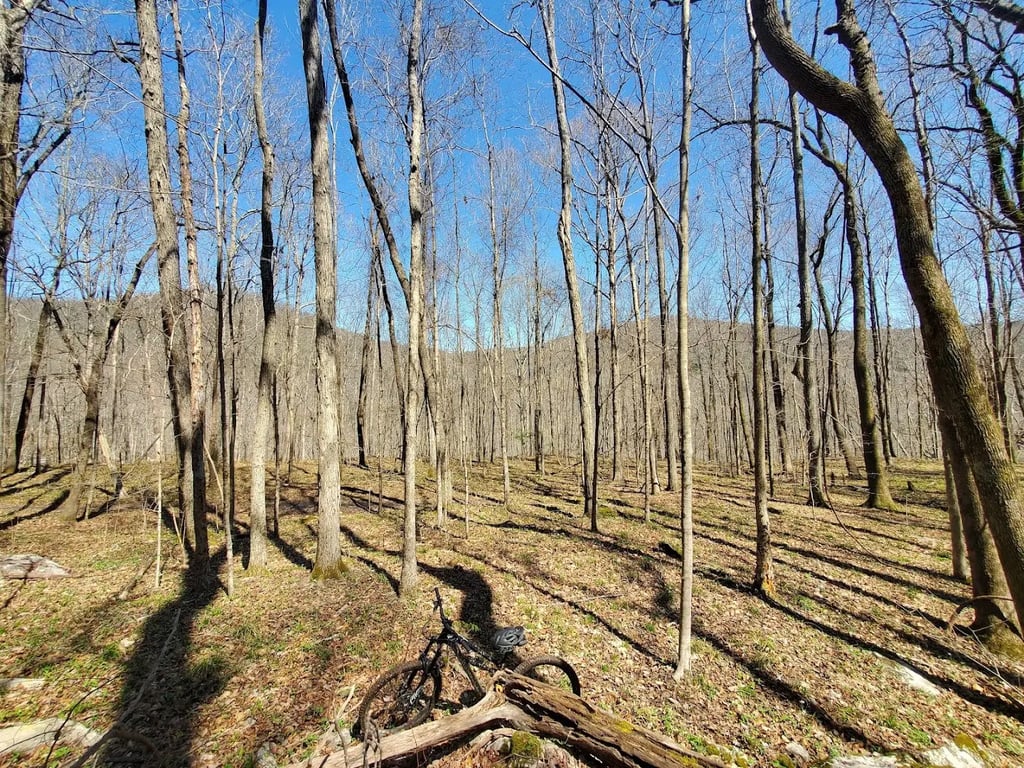 Monte Sano State Park (Huntsville)