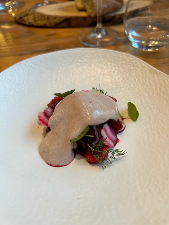Domaine Riberach - Restaurant étoilé - Spa - Piscine naturelle - Vignoble bio