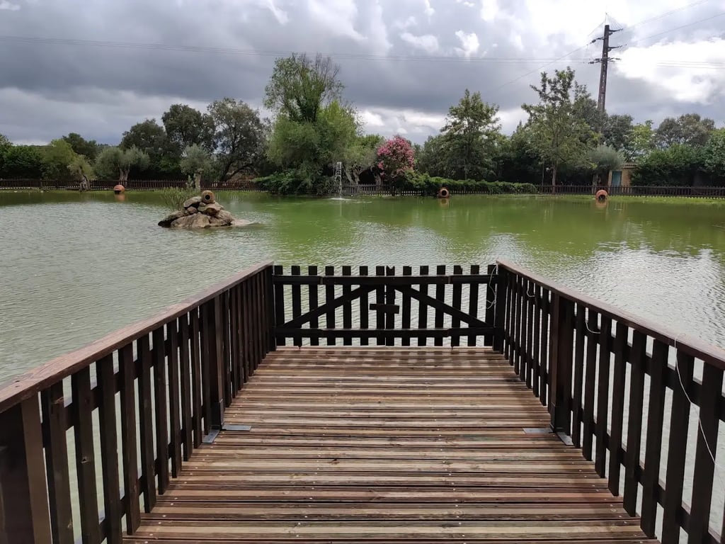 Quinta d'Oliveiras