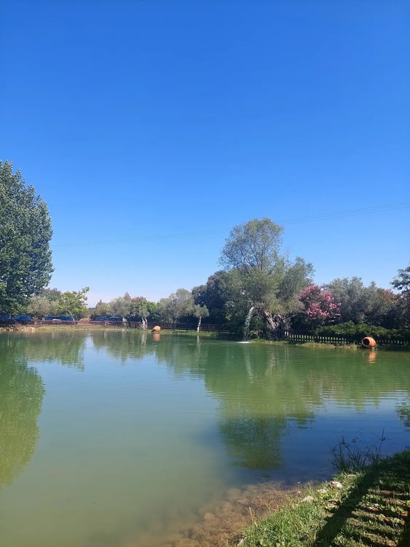 Quinta d'Oliveiras