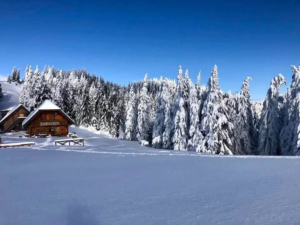 Mountain Resort Golte