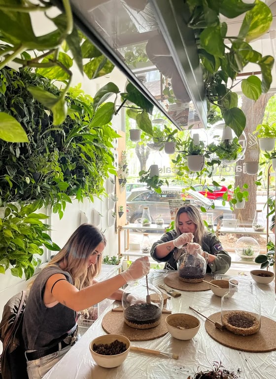 In the Terrarium