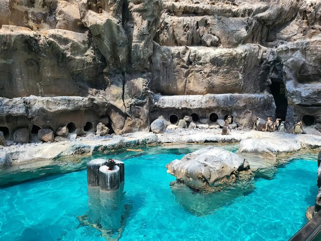 Brookfield Zoo